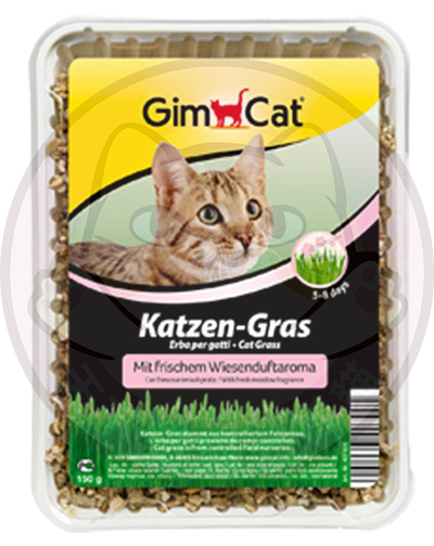 GimCat (粉紅盒) 香味種植貓草 Cat Grass with Meadow Fragrance 150G (Katzen-Gras) 