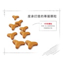 Royal Canin CAT - Feline Breed Nutrition(FBN)  Bengal Adult 純種系列 豹貓成貓專屬配方 02kg (原裝行貨) 