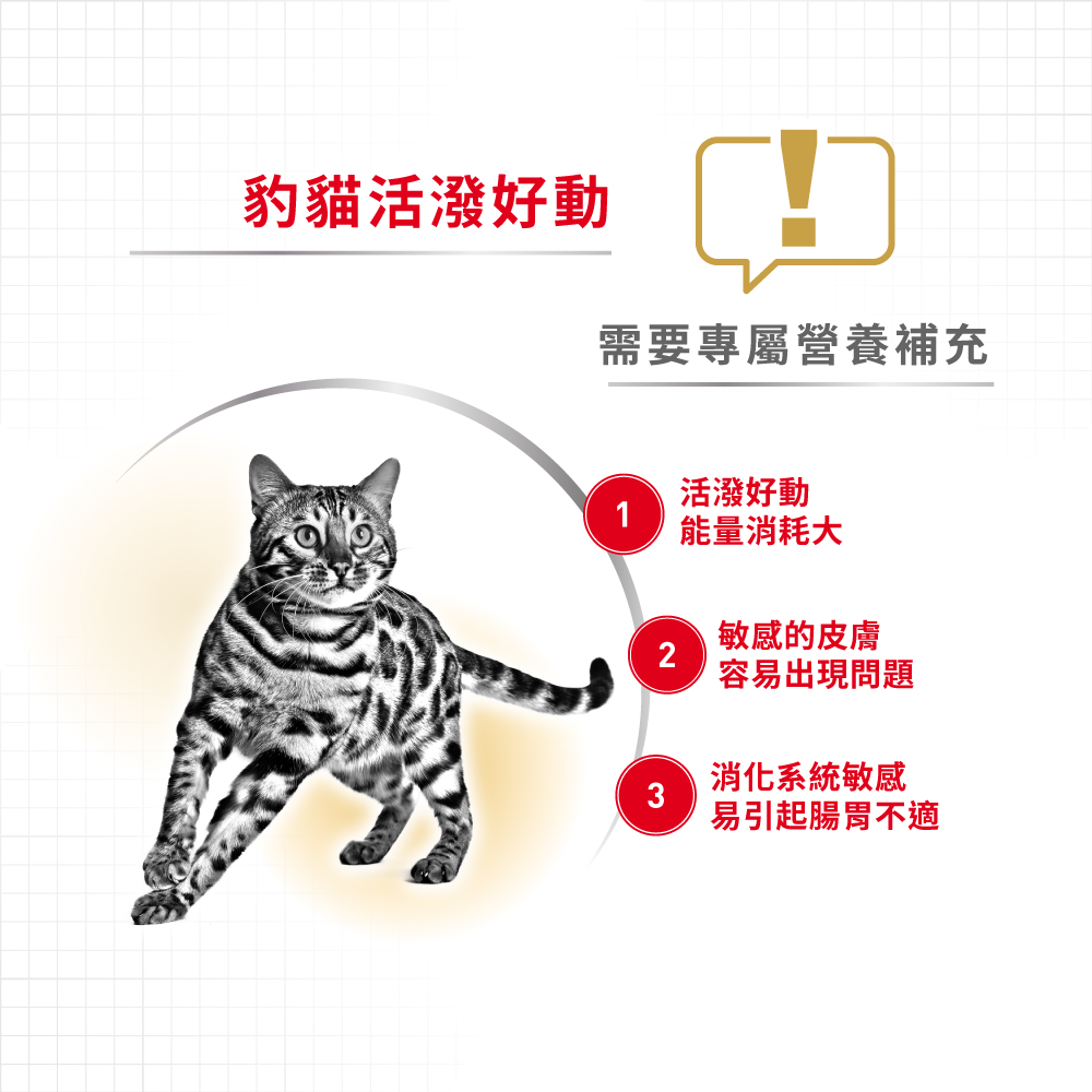 Royal Canin CAT - Feline Breed Nutrition(FBN)  Bengal Adult 純種系列 豹貓成貓專屬配方 02kg (原裝行貨) 