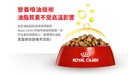 Royal Canin CAT - Feline Breed Nutrition(FBN)  British Shorthair Kitten 純種系列 英國短毛幼貓專屬配方 02kg(原裝行貨)