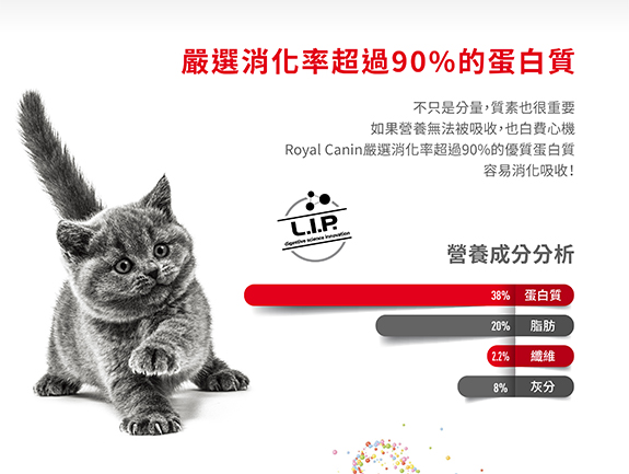 Royal Canin CAT - Feline Breed Nutrition(FBN)  British Shorthair Kitten 純種系列 英國短毛幼貓專屬配方 02kg(原裝行貨)