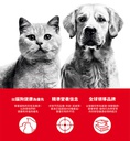 Royal Canin CAT - Feline Breed Nutrition(FBN)  British Shorthair Kitten 純種系列 英國短毛幼貓專屬配方 02kg(原裝行貨)