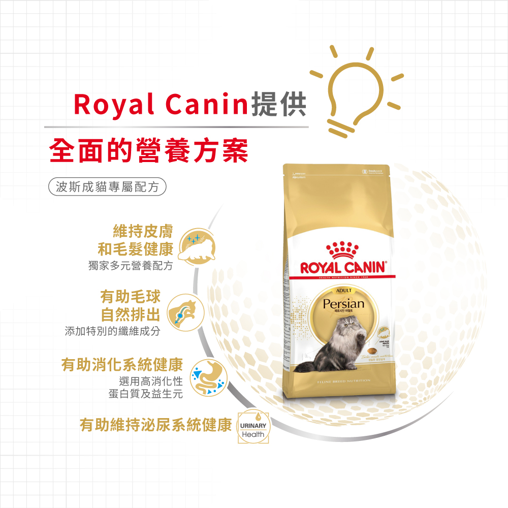 Royal Canin CAT - Feline Breed Nutrition(FBN)  Persian Adult 純種系列 波斯成貓專屬配方04kg (2552040010) (*)(原裝行貨)