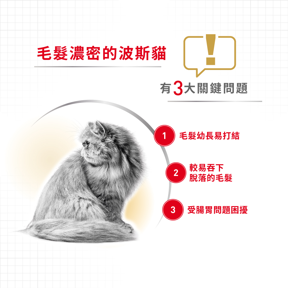 Royal Canin CAT - Feline Breed Nutrition(FBN)  Persian Adult 純種系列 波斯成貓專屬配方10kg (2552100011)(原裝行貨) 