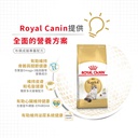 Royal Canin CAT - Feline Breed Nutrition(FBN) Ragdoll Adult 純種系列 布偶成貓專屬配方10kg (2515100010)(原裝行貨)