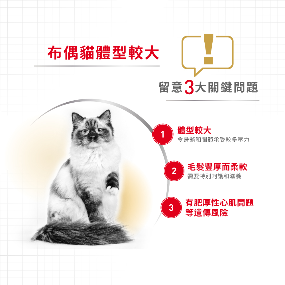 Royal Canin CAT - Feline Breed Nutrition(FBN)  Ragdoll Adult 純種系列 布偶成貓專屬配方 02kg (2351300)(原裝行貨)