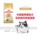 Royal Canin CAT - Feline Breed Nutrition(FBN)  Ragdoll Adult 純種系列 布偶成貓專屬配方 02kg (2351300)(原裝行貨)