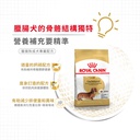 Royal Canin -  Breed 純種系列 Dachshund Adult Dog 1.5KG 臘腸狗成犬專屬配方1.5公斤[訂貨需時2-3天](原裝行貨)