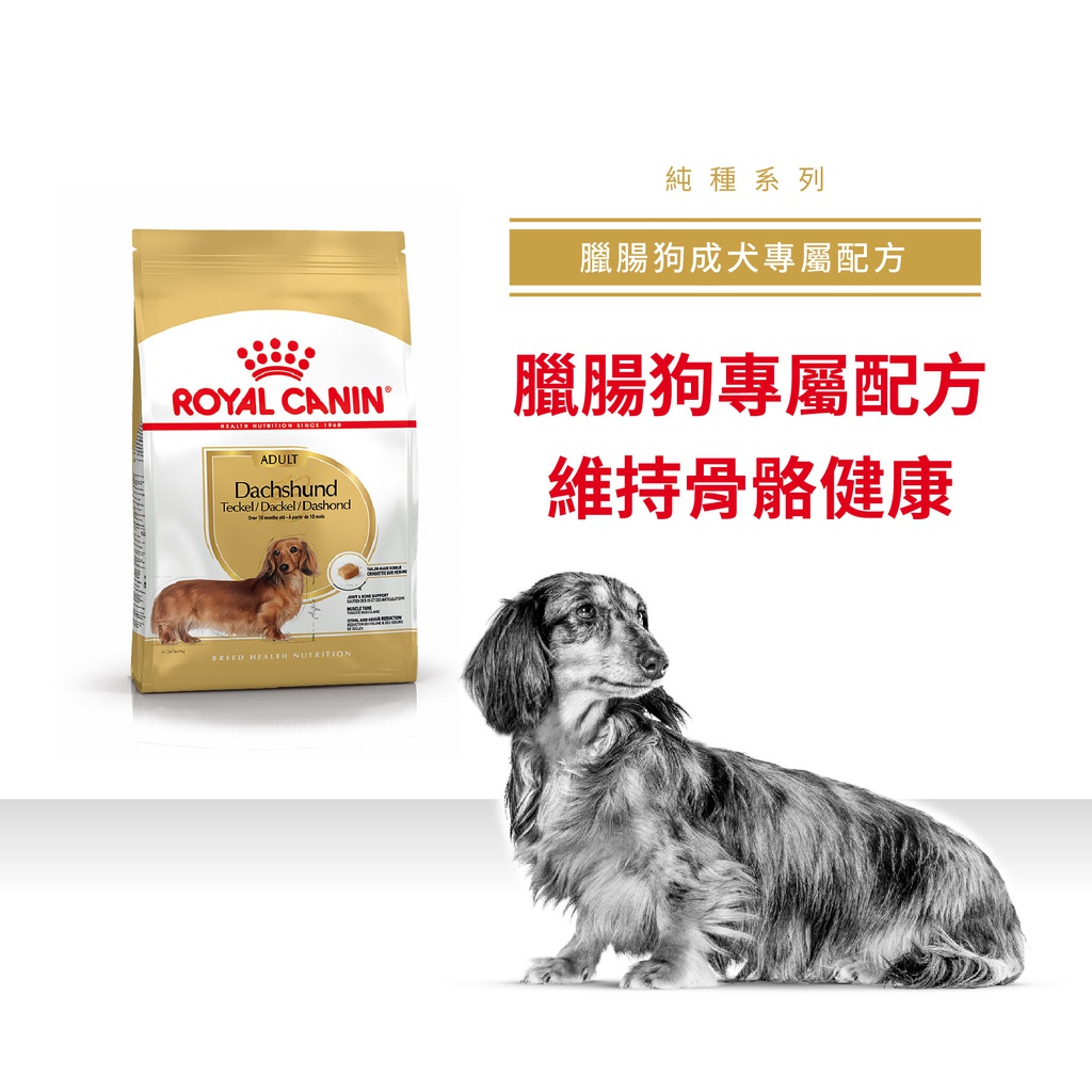 Royal Canin -  Breed 純種系列 Dachshund Adult Dog 7.5KG 臘腸狗成犬專屬配方7.5公斤[訂貨需時2-3天](原裝行貨)