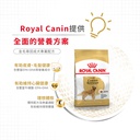 Royal Canin -  Breed 純種系列 Golden Retriever Adult Dog 12KG 金毛尋回成犬專屬配方12公斤[訂貨需時2-3天](原裝行貨)