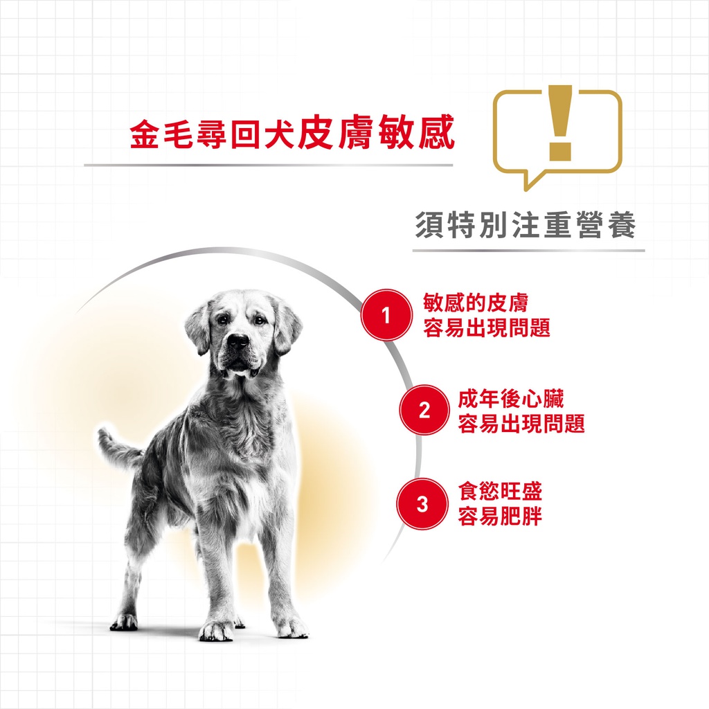 Royal Canin -  Breed 純種系列 Golden Retriever Adult Dog 12KG 金毛尋回成犬專屬配方12公斤[訂貨需時2-3天](原裝行貨)