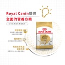 Royal Canin -  Breed 純種系列 Labrador Retriever Adult Dog 12KG 拉布拉多成犬專屬配方12公斤[訂貨需時2-3天](原裝行貨)