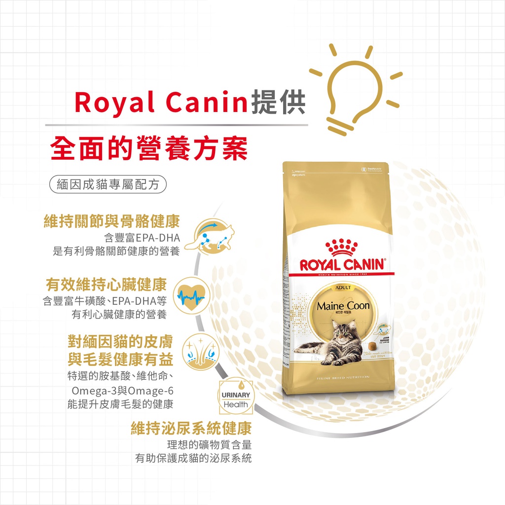 Royal Canin CAT - Feline Breed Nutrition(FBN)  Maine Coon Adult 純種系列 緬因成貓專屬配方2kg (2550020010)(原裝行貨)