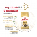 Royal Canin CAT - Feline Breed Nutrition(FBN)  Maine Coon Adult 純種系列 緬因成貓專屬配方2kg (2550020010)(原裝行貨)