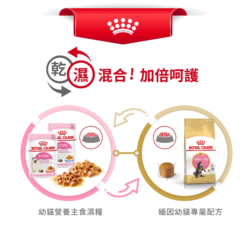 Royal Canin CAT - Feline Breed Nutrition(FBN)  Maine Coon Kitten 純種系列 緬因幼貓專屬配方 10kg (2521100)(原裝行貨)