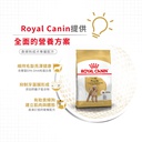 Royal Canin -  Breed 純種系列 Poodle Adult Dog 1.5KG 貴婦狗成犬專屬配方1.5公斤[訂貨需時2-3天](原裝行貨)