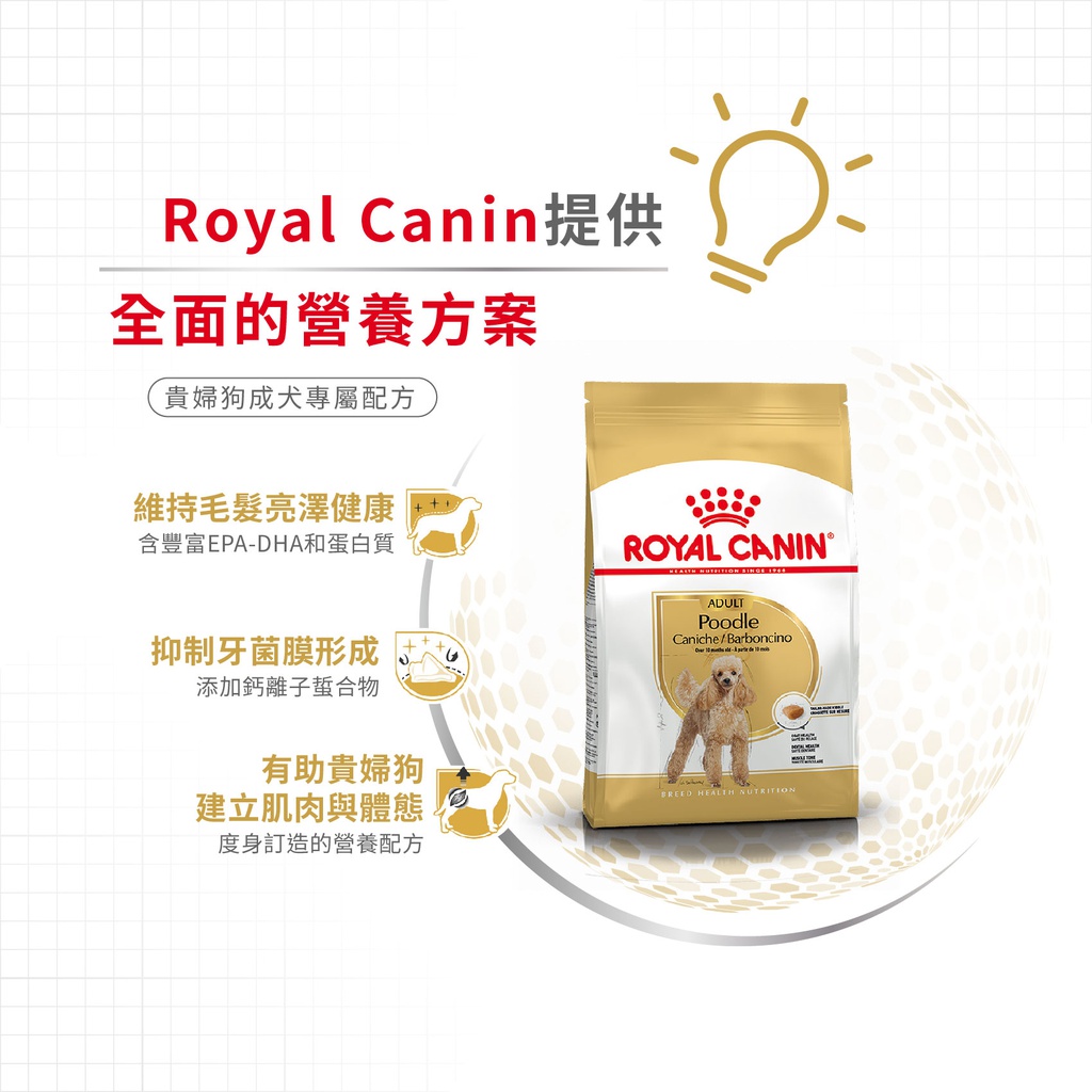 Royal Canin -  Breed 純種系列 Poodle Adult Dog 7.5KG 貴婦狗成犬專屬配方7.5公斤[訂貨需時2-3天](原裝行貨)