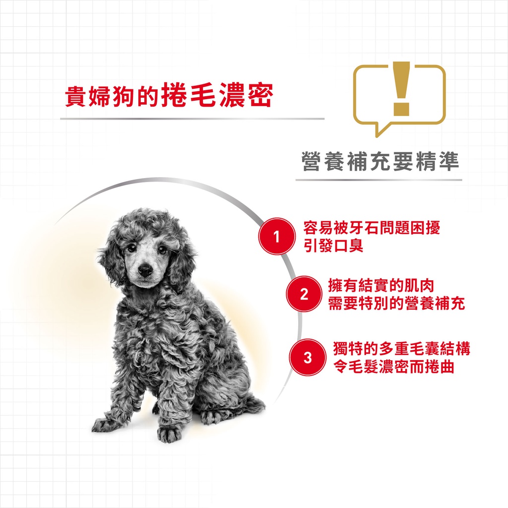 Royal Canin -  Breed 純種系列 Poodle Puppy 3KG 貴婦狗幼犬專屬配方3公斤[訂貨需時2-3天](原裝行貨)