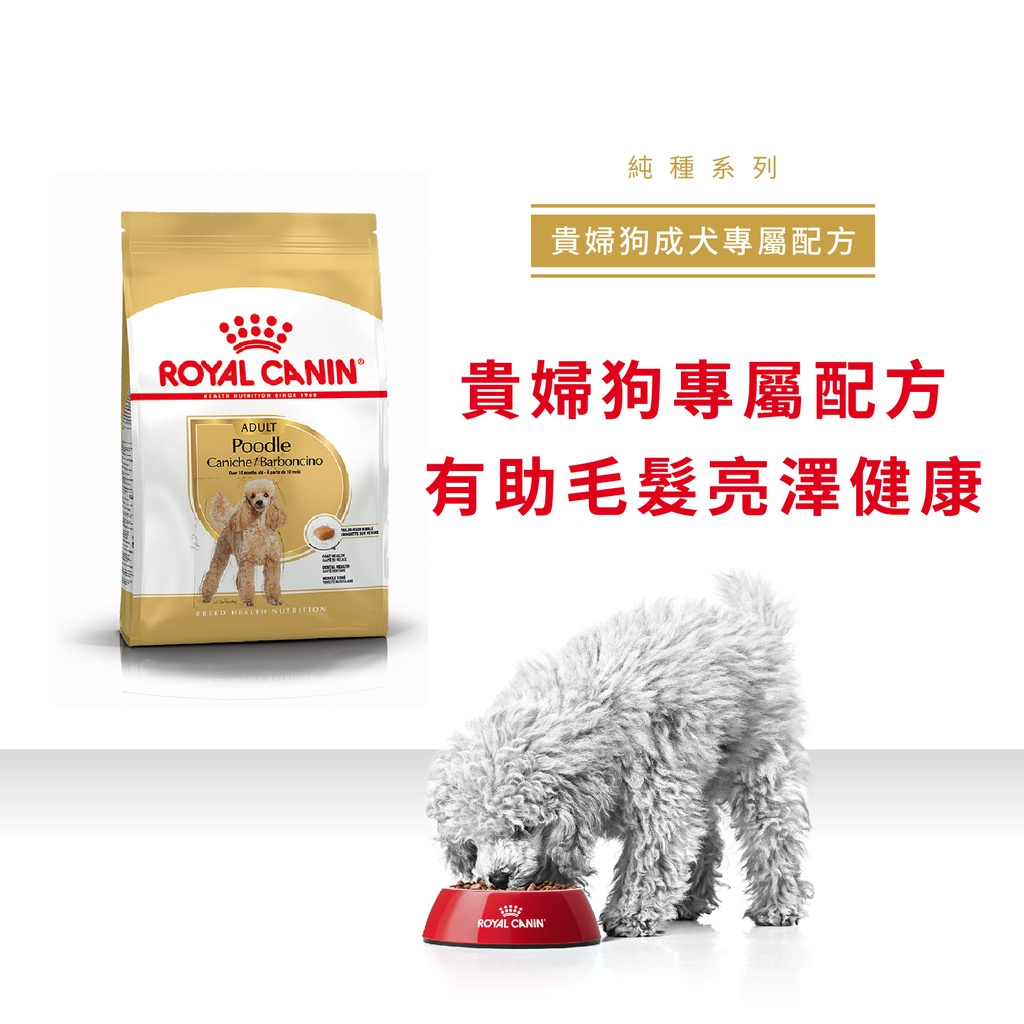 Royal Canin -  Breed 純種系列 Poodle Adult Dog 1.5KG 貴婦狗成犬專屬配方1.5公斤[訂貨需時2-3天](原裝行貨)