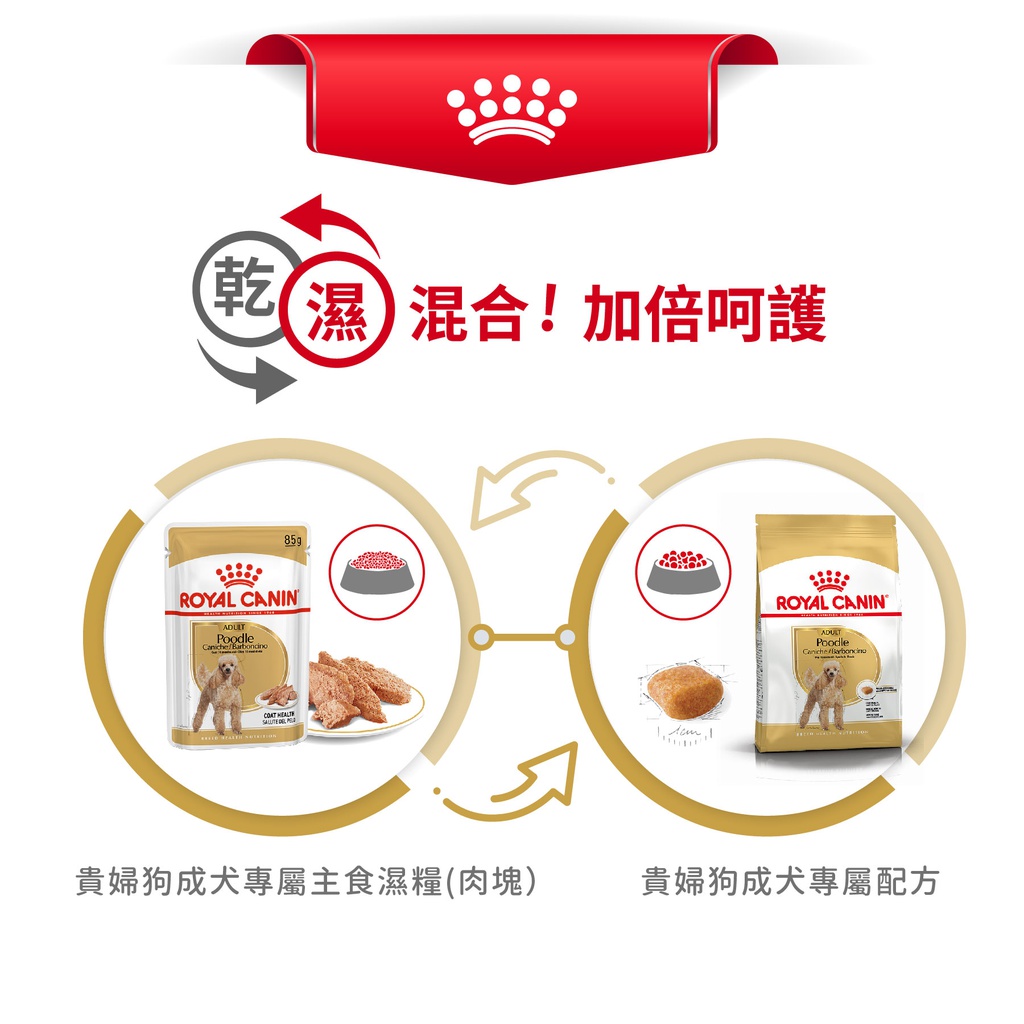 Royal Canin -  Breed 純種系列 Poodle Adult Dog (Loaf) 85GX12 貴婦狗成犬專屬主食濕糧 (肉塊) 85克x12[訂貨需時2-3天] (原裝行貨)