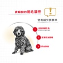 Royal Canin -  Breed 純種系列 Poodle Adult Dog (Loaf) 85GX12 貴婦狗成犬專屬主食濕糧 (肉塊) 85克x12[訂貨需時2-3天] (原裝行貨)
