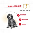 Royal Canin -  Breed 純種系列 Poodle Adult Dog (Loaf) 85GX12 貴婦狗成犬專屬主食濕糧 (肉塊) 85克x12[訂貨需時2-3天] (原裝行貨)