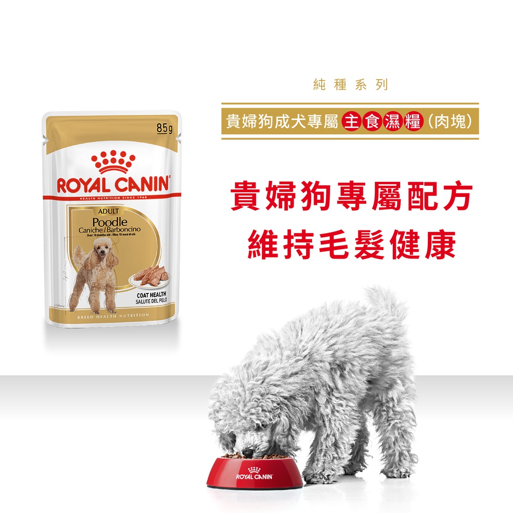 Royal Canin -  Breed 純種系列 Poodle Adult Dog (Loaf) 85GX12 貴婦狗成犬專屬主食濕糧 (肉塊) 85克x12[訂貨需時2-3天] (原裝行貨)