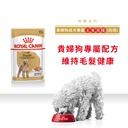 Royal Canin -  Breed 純種系列 Poodle Adult Dog (Loaf) 85GX12 貴婦狗成犬專屬主食濕糧 (肉塊) 85克x12[訂貨需時2-3天] (原裝行貨)