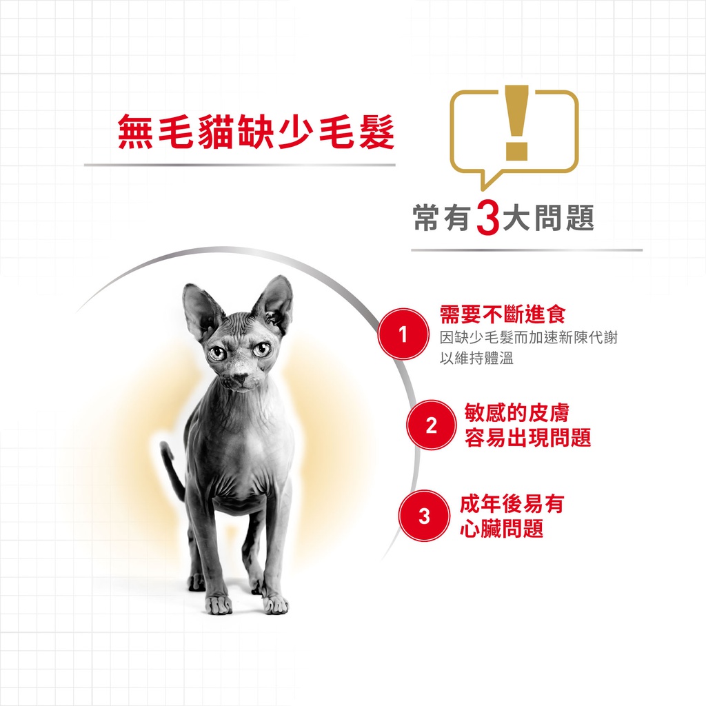 Royal Canin CAT - Feline Breed Nutrition(FBN) Sphynx Adult 純種系列 無毛貓成貓專屬配方02kg(原裝行貨)