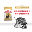 Royal Canin -  Breed 純種系列 Miniature Schnauzer Adult Dog 3KG 迷你史納莎成犬專屬配方3公斤[訂貨需時2-3天](原裝行貨)