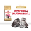 Royal Canin CAT - Feline Breed Nutrition(FBN)  Persian Kitten 純種系列 波斯幼貓專屬配方02kg(原裝行貨)