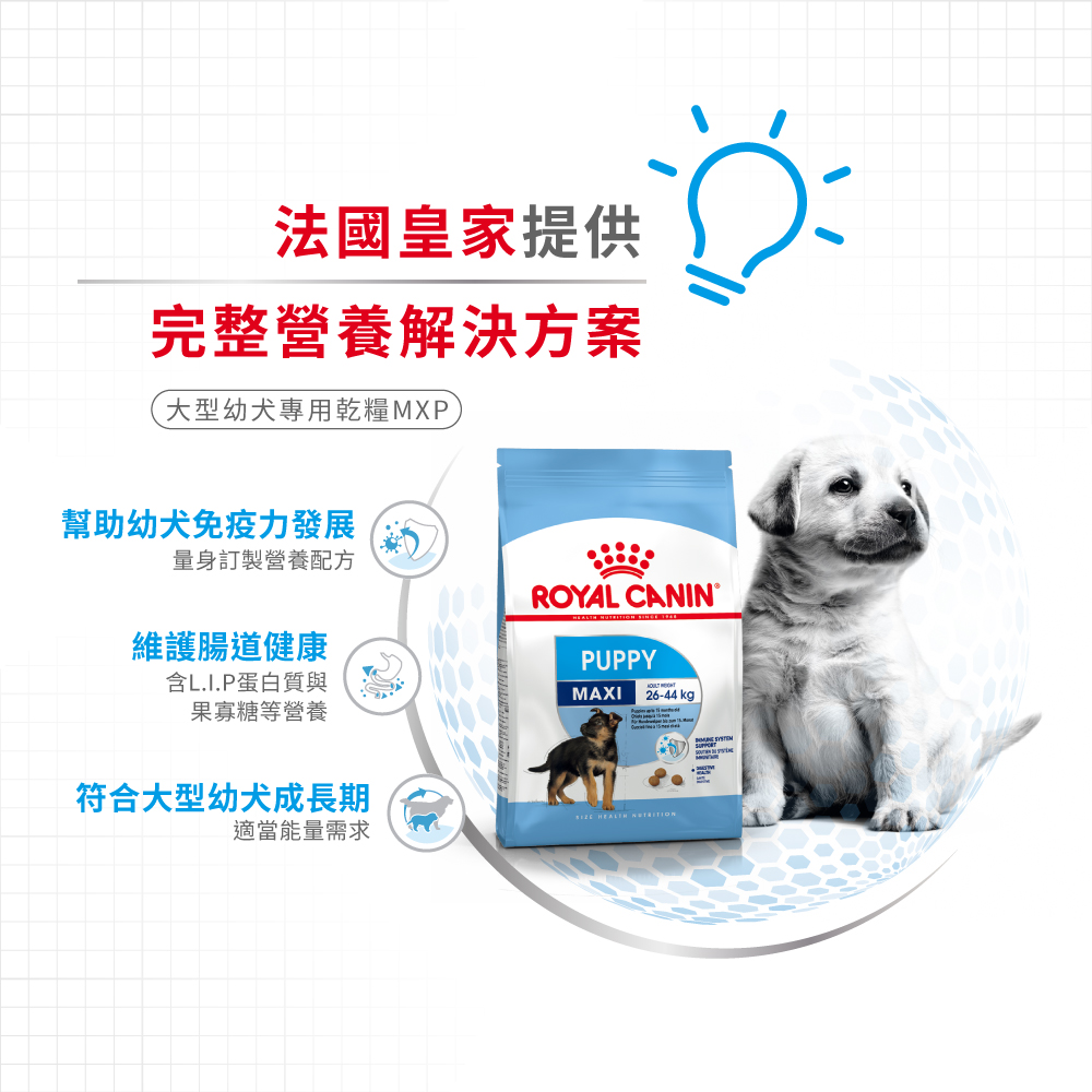 Royal Canin -  Health Nutrition 健康營養系列 Maxi Puppy 15KG 大型幼犬營養配方15公斤[訂貨需時2-3天](原裝行貨)