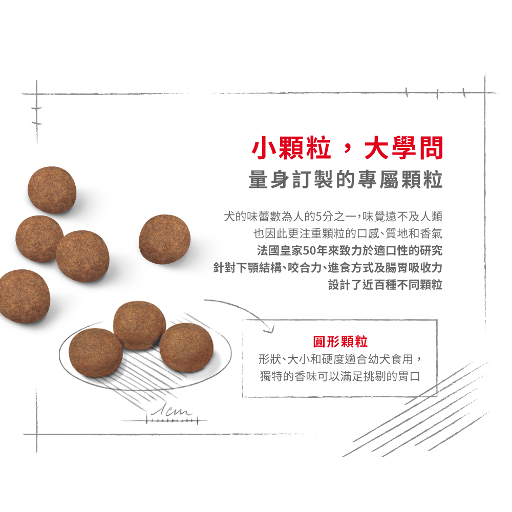 Royal Canin -  Health Nutrition 健康營養系列 Medium Puppy 4KG 中型幼犬營養配方4公斤[訂貨需時2-3天](原裝行貨)
