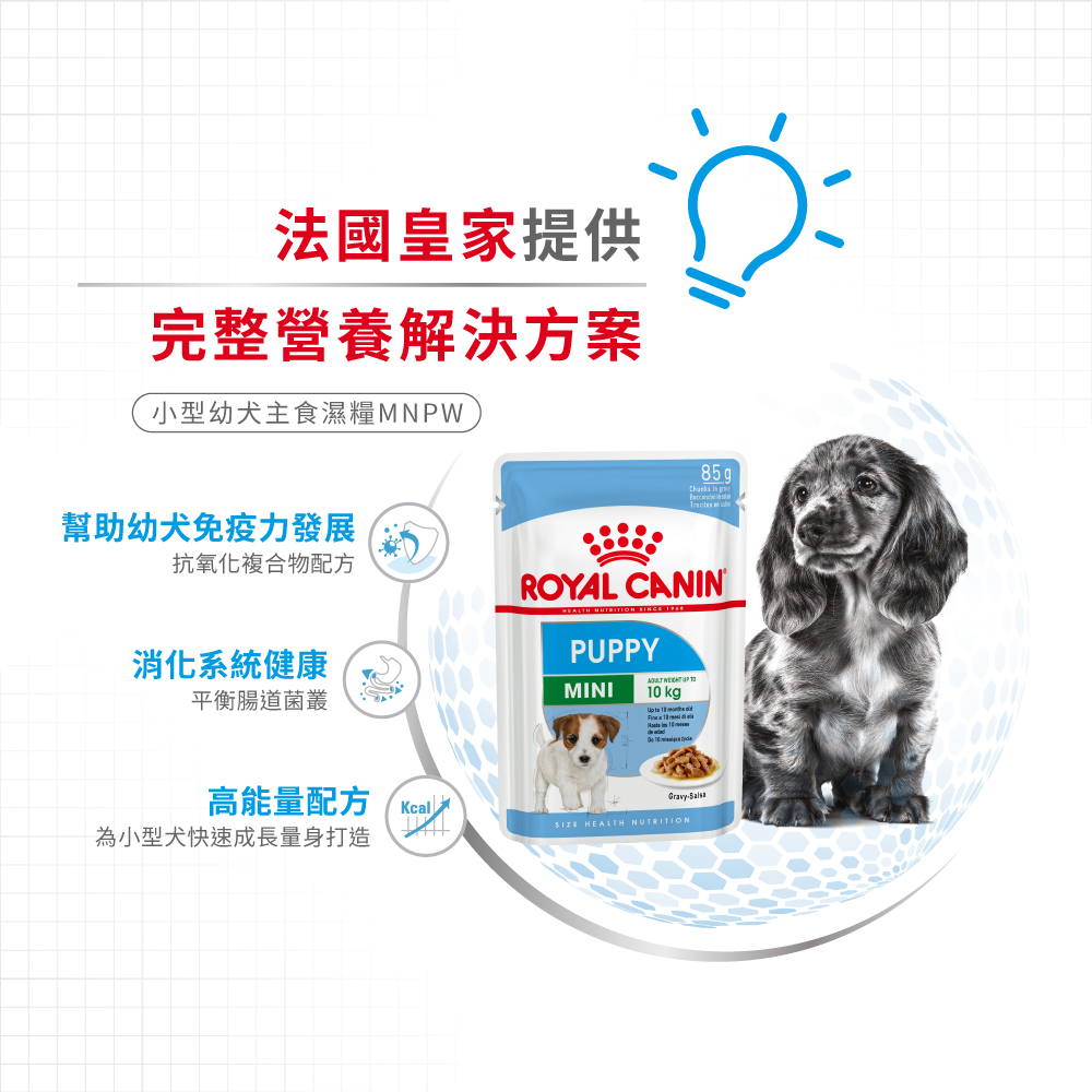 Royal Canin -  Health Nutrition 健康營養系列 Mini Puppy (Gravy) 85GX12 小型幼犬營養主食濕糧(肉汁)85克x12[訂貨需時2-3天](原裝行貨)