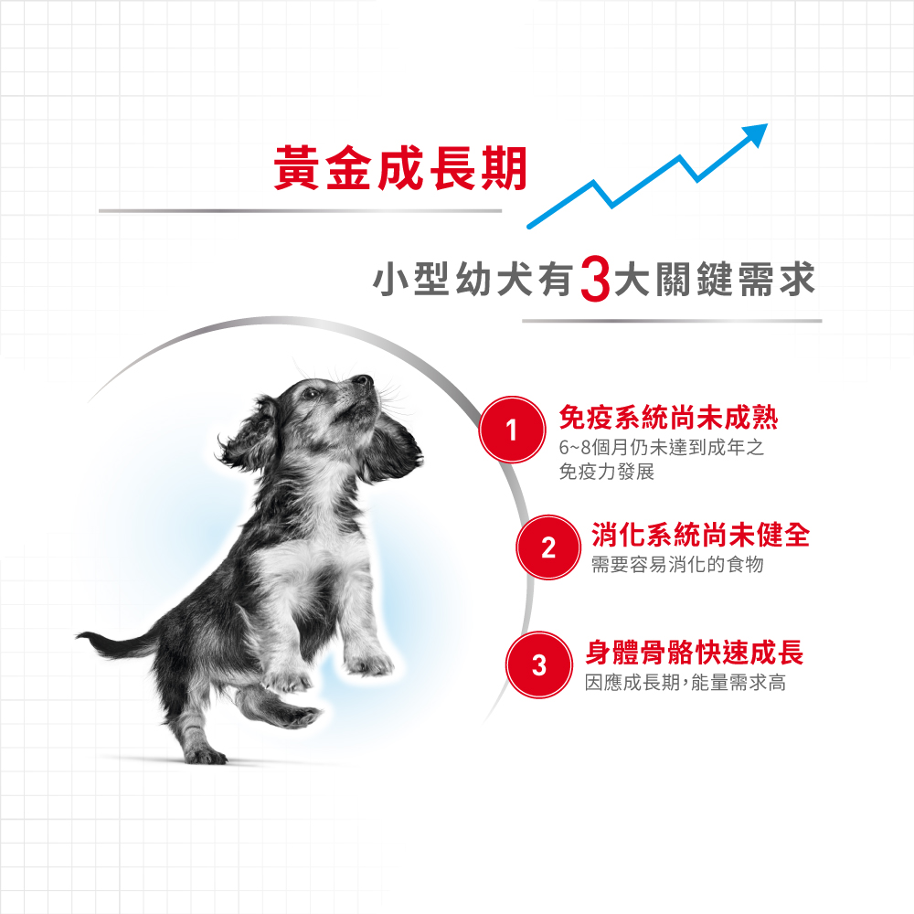 Royal Canin -  Health Nutrition 健康營養系列 Mini Puppy (Gravy) 85GX12 小型幼犬營養主食濕糧(肉汁)85克x12[訂貨需時2-3天](原裝行貨)