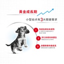 Royal Canin -  Health Nutrition 健康營養系列 Mini Puppy (Gravy) 85GX12 小型幼犬營養主食濕糧(肉汁)85克x12[訂貨需時2-3天](原裝行貨)