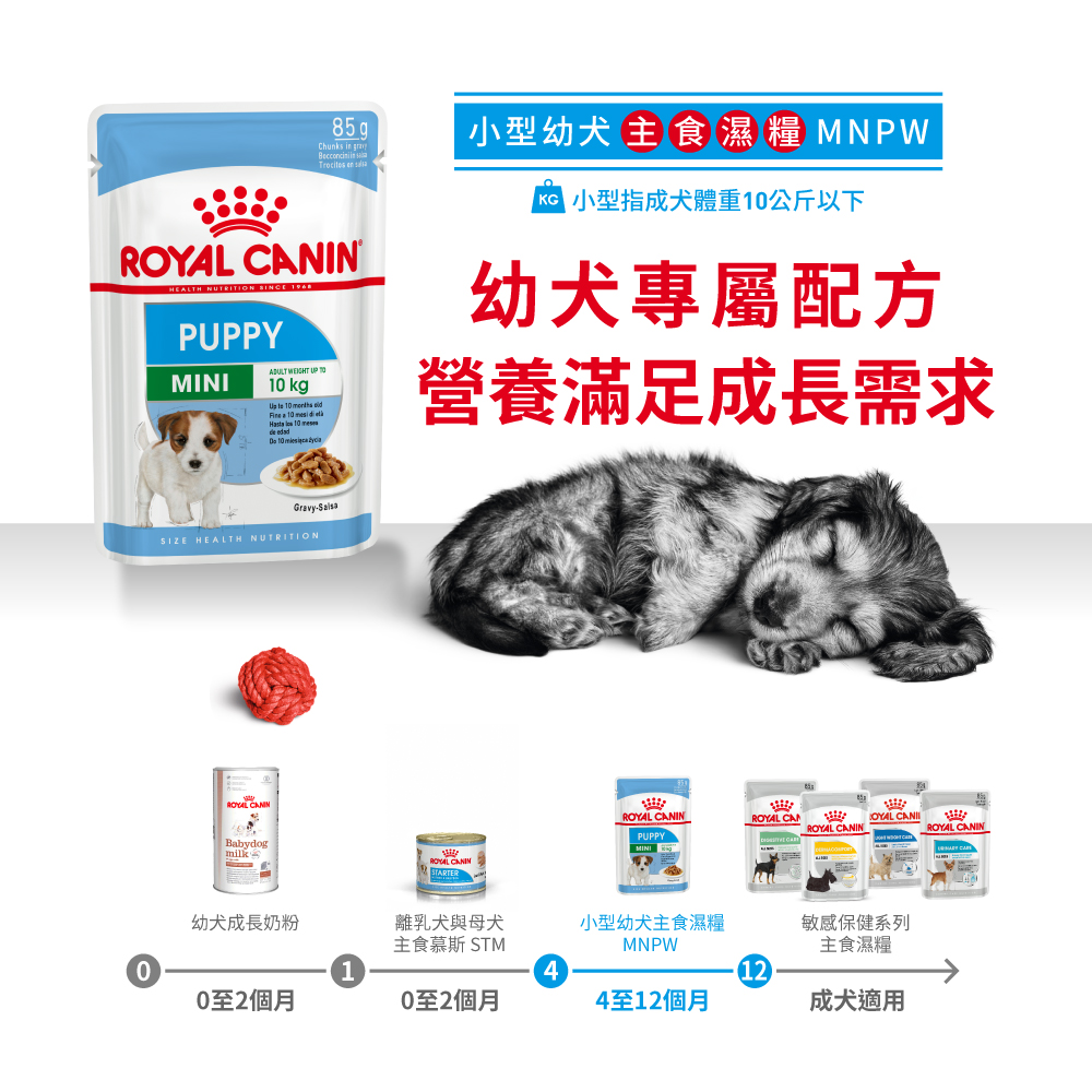 Royal Canin -  Health Nutrition 健康營養系列 Mini Puppy (Gravy) 85GX12 小型幼犬營養主食濕糧(肉汁)85克x12[訂貨需時2-3天](原裝行貨)