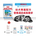 Royal Canin -  Health Nutrition 健康營養系列 Mini Puppy (Gravy) 85GX12 小型幼犬營養主食濕糧(肉汁)85克x12[訂貨需時2-3天](原裝行貨)