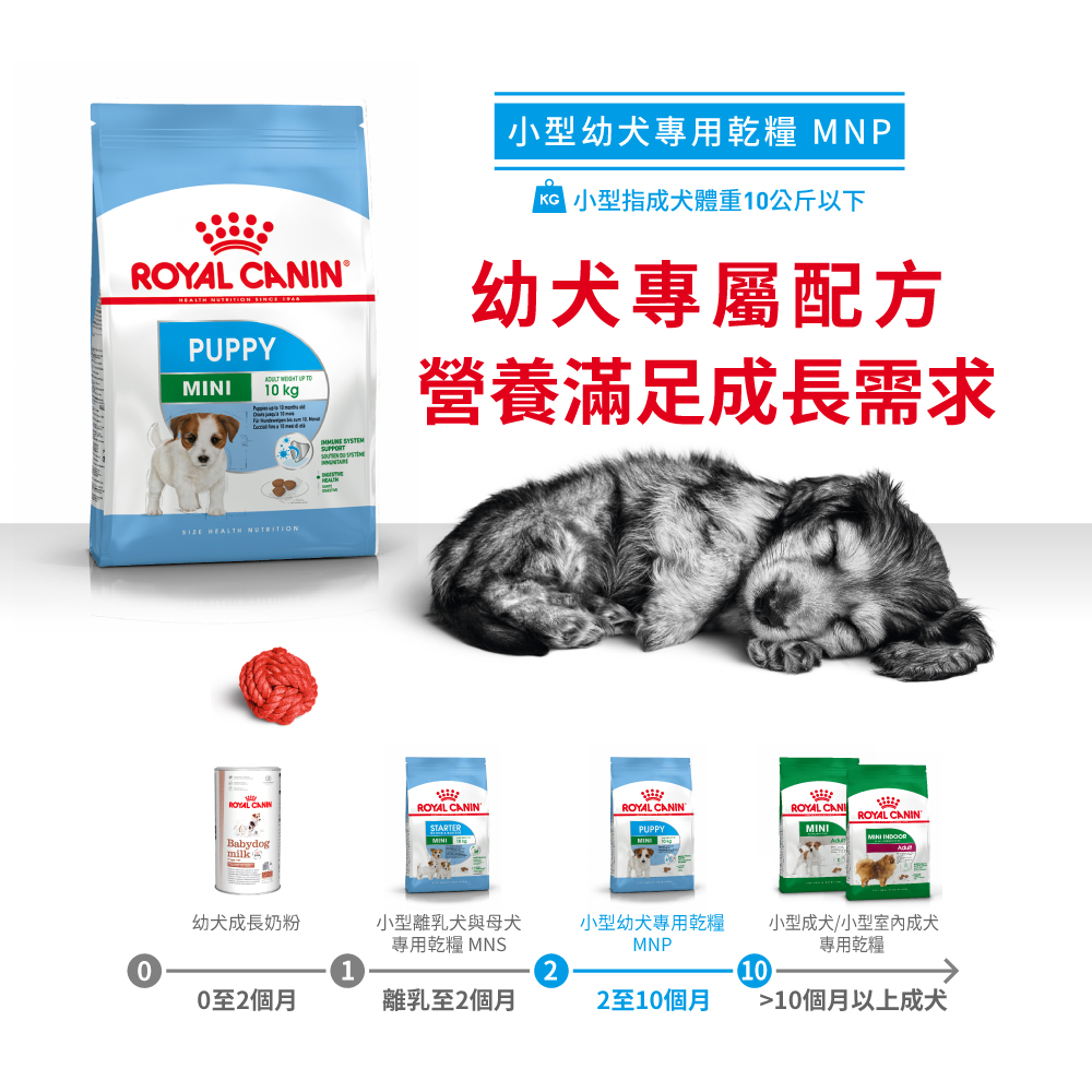 Royal Canin -  Health Nutrition 健康營養系列 Mini Puppy 2KG 小型幼犬營養配方2公斤[訂貨需時2-3天](原裝行貨)