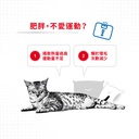 Royal Canin Light Weight Care 法國皇家減肥貓配方 1.5kg (2524015010) (*)