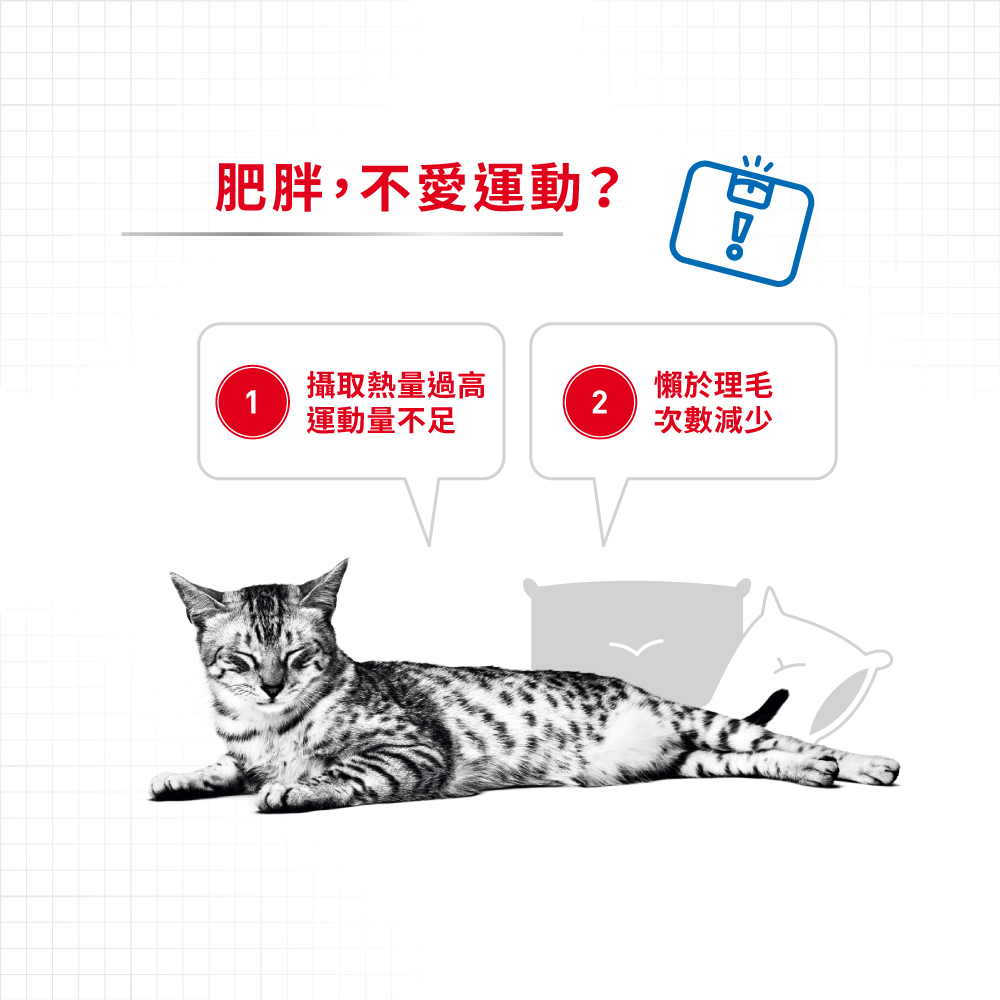 Royal Canin Light Weight Care 法國皇家減肥貓配方 8kg (2524080010) (*)