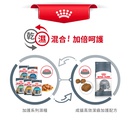 Royal Canin CAT - Feline Care Nutrition(FCN)  Oral Care Adult 加護系列 成貓高效潔齒加護配方8kg (2532080010)(原裝行貨)