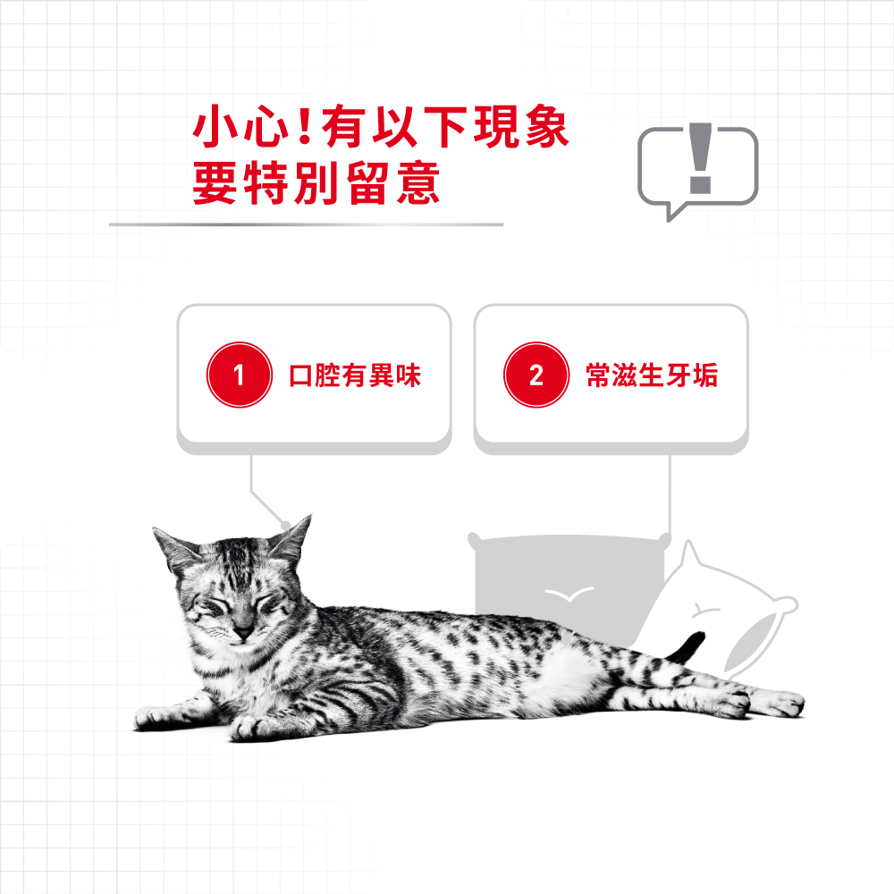 Royal Canin CAT - Feline Care Nutrition(FCN)  Oral Care Adult 加護系列 成貓高效潔齒加護配方 1.5kg (2532015010)(原裝行貨)