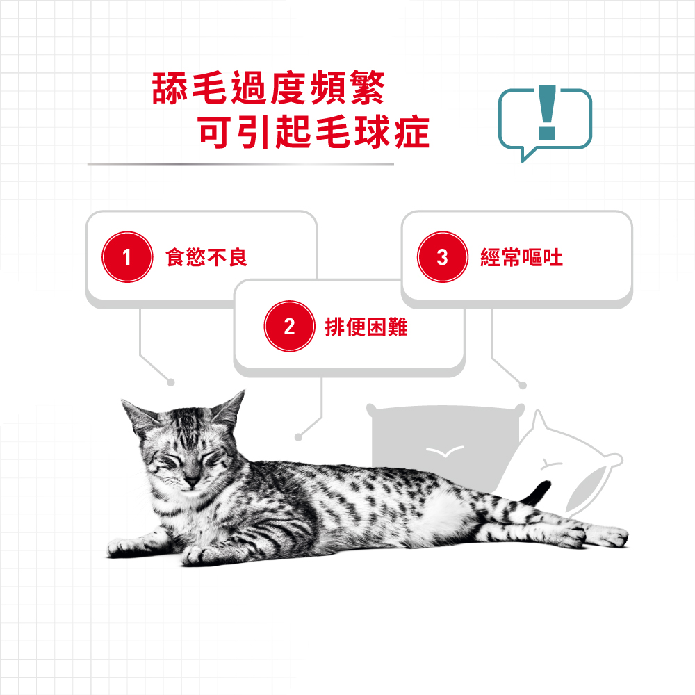 Royal Canin Hairball Care (Intense Hairball 34) 法國皇家室強力去毛球配方 10kg (2534100010) (*)