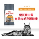 Royal Canin CAT - Feline Care Nutrition(FCN)  Hair & Skin Care Adult 加護系列 成貓亮毛及皮膚加護配方10kg (2526100011)(原裝行貨)