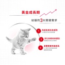 Royal Canin - Feline Health Nutrition (FHN) Kitten - up to 12 moths (k36) 健康營養系列 幼貓營養配方 (幼貓kitten) 02kg (新裝) 