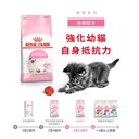 Royal Canin - Feline Health Nutrition (FHN) Kitten - up to 12 moths (k36) 健康營養系列 幼貓營養配方 (幼貓kitten) 04kg