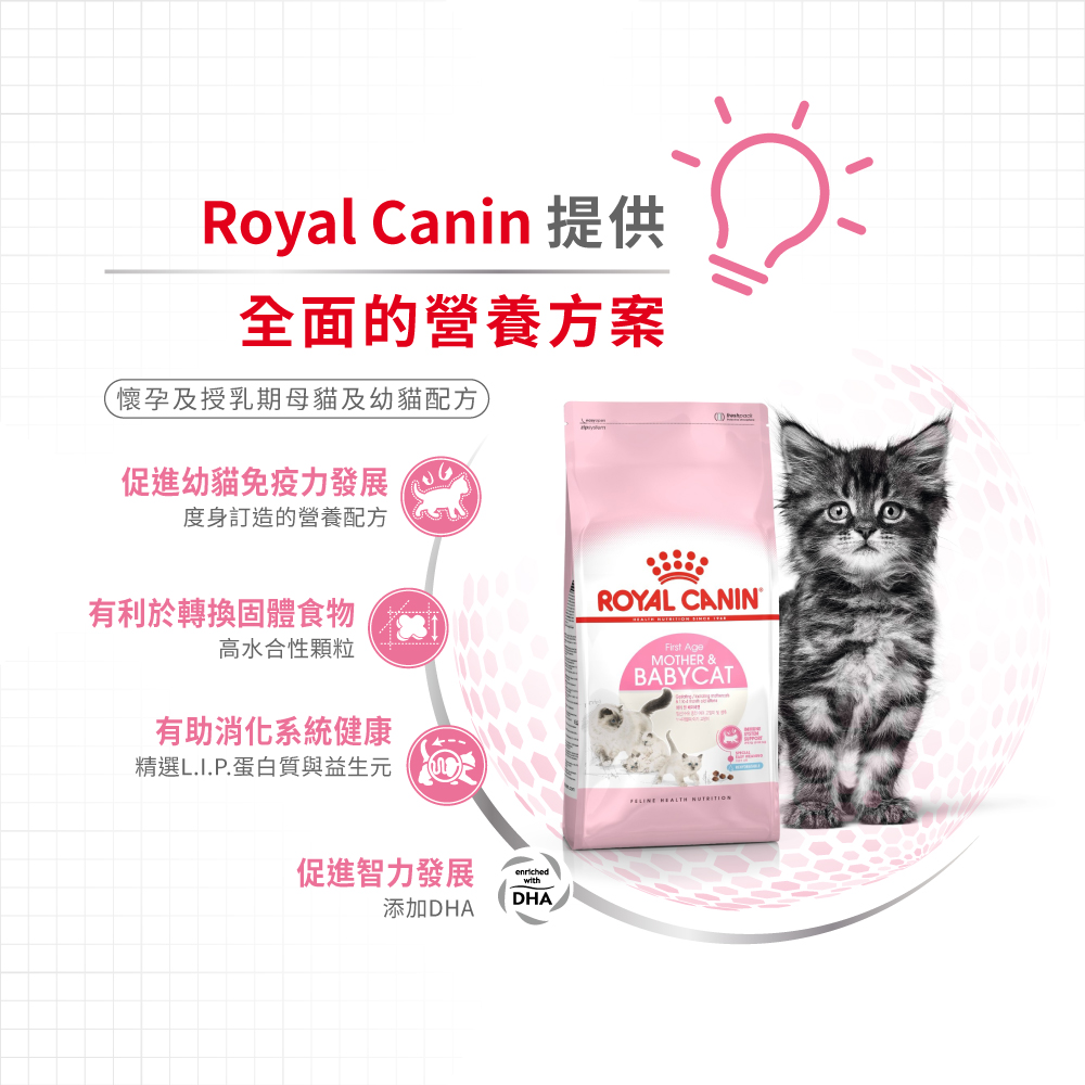 Royal Canin CAT - Feline Health Nutrition (FHN) First Age Mother & Babycat 健康營養系列 離乳貓及母貓營養配方(幼貓mother) 02kg(原裝行貨)