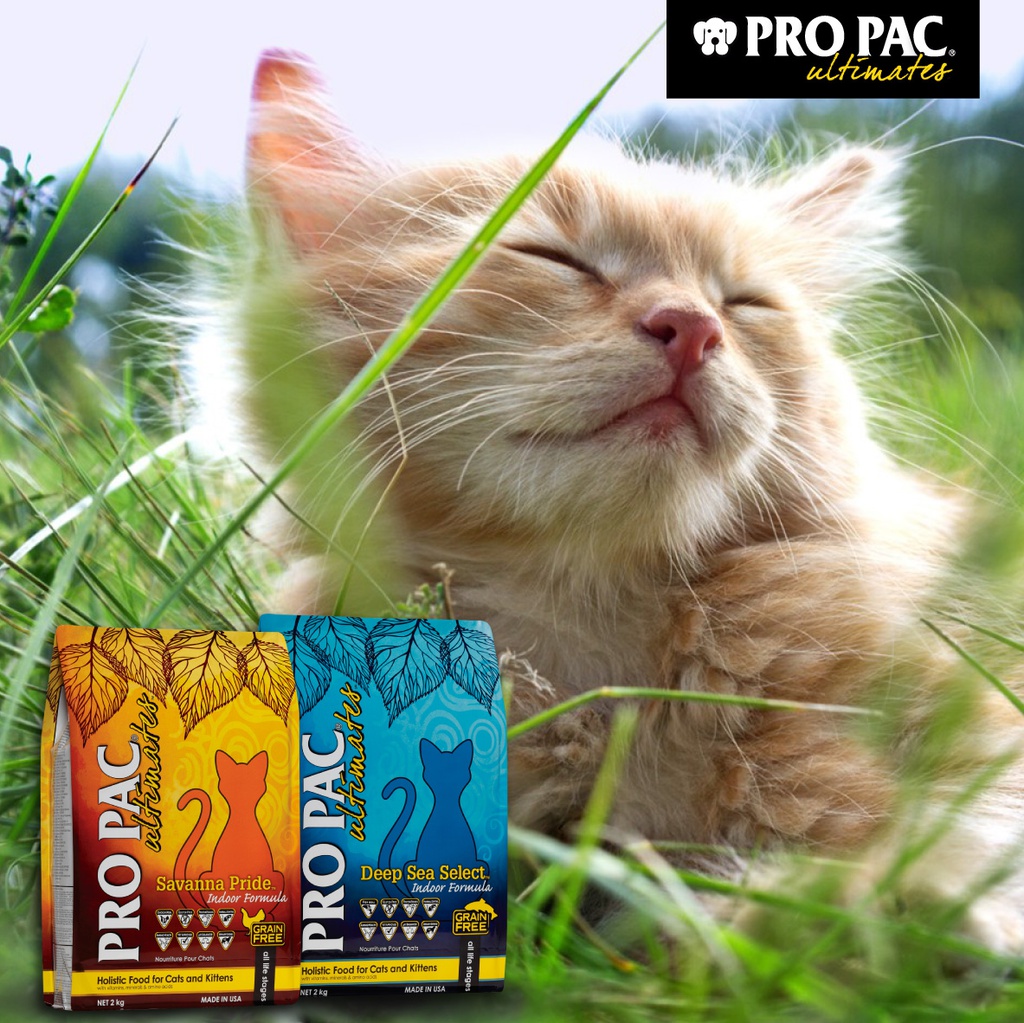 PRO PAC® Ultimates™ CAT  [ Savanna Pride 黃色 ] (Chicken & Pea) Indoor Cat Food 6KG 無穀物室內全貓糧－雞肉 6公斤