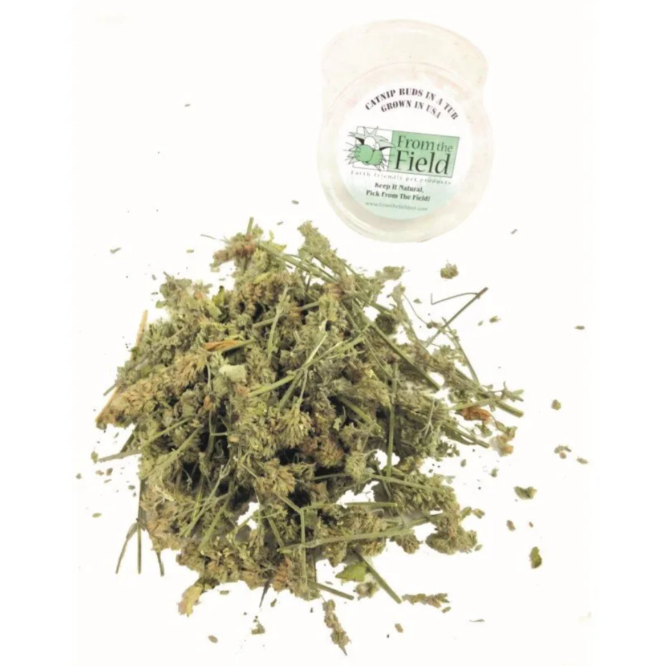 FromTheField 貓花蕾 Catnip Buds Tub Half Ounce (美國製造)